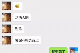 廉江廉江的要账公司在催收过程中的策略和技巧有哪些？